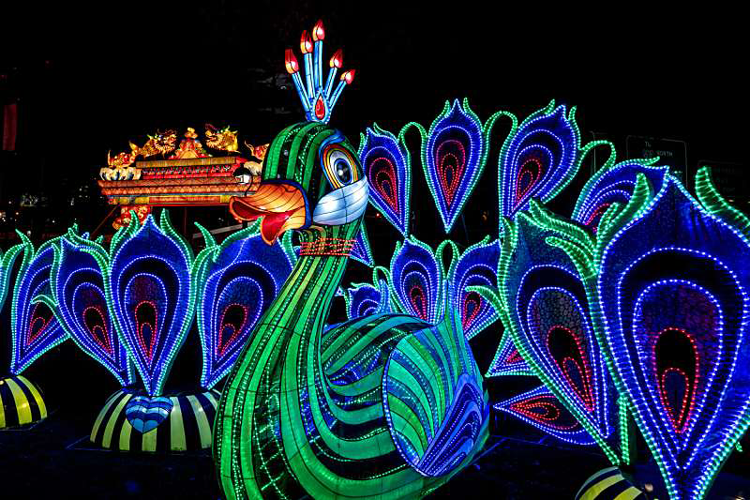 Dragon Lights