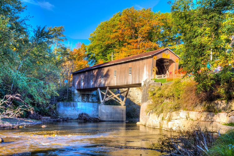 Fall Foliage NE Ohio